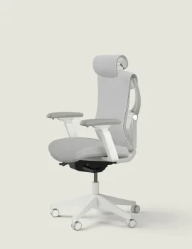 Desktronic SitPro