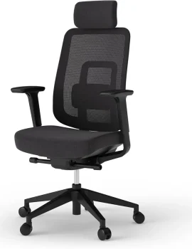 ergotopia pureback schwarzer ergonomischer bürostuhl