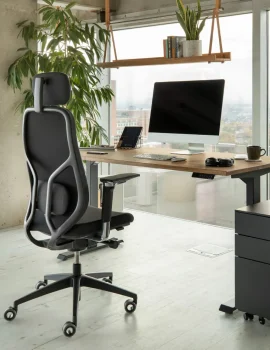 ergotopia masterback ergonomischer bürostuhl