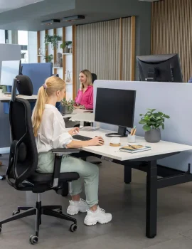 ergotopia masterback im office