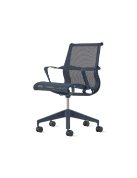 herman miller setu